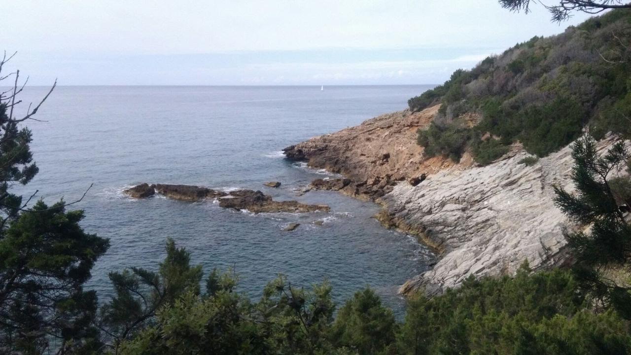 Casa San Giuseppe - Isola D'Elba Hotel Cavo Kültér fotó